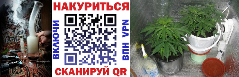 Канабис Amnesia  Волгореченск 